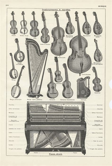 Image result for Old Stringed Musical Instruments