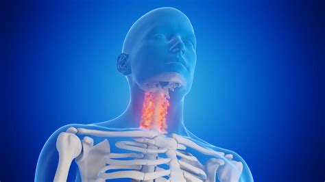 Stellate Ganglion Block – ReGenSpine MD