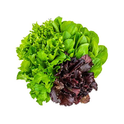 Exotic Lettuce Mix (150g) – Max Green Farms