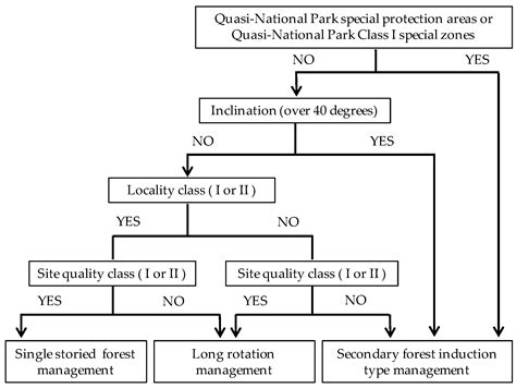 Application of an Adaptive Forest Management Simulation Model Based on ...