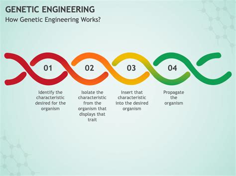 Genetic Engineering Presentation 的图像结果