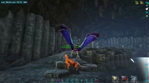 Desmodus Taming Guide 的图像结果