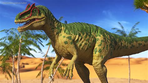 3D Allosaurus Green Coloring Rigged for Cinema 4D | 3D Molier International