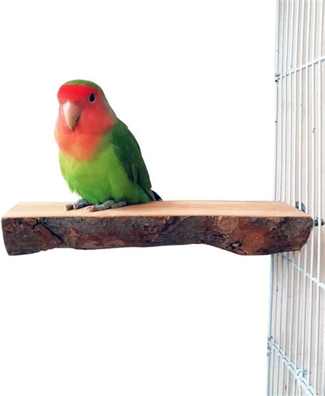 DAEDALUS Kauspielzeug Für Papageien - Buntes Holz-Spielzeug, 34 Cm, Für Käfig-Dekor & Beschäftigung
