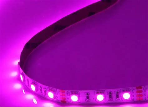 LED Purple Color 的图像结果