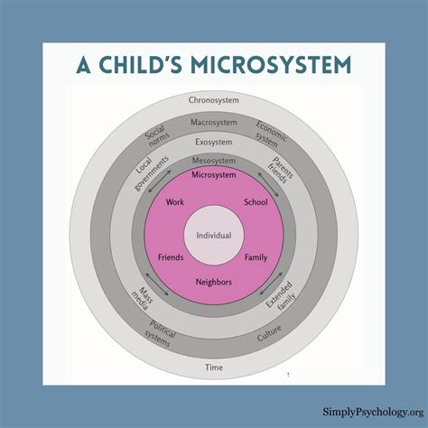 Bronfenbrenner's Microsystem Theory