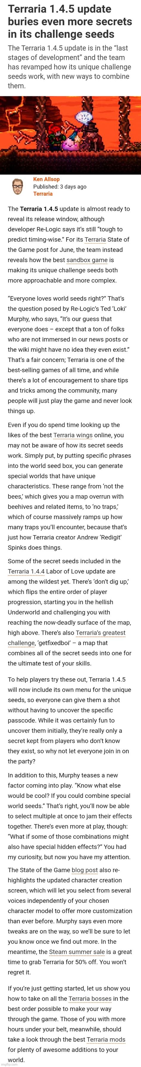 Image result for Terraria Animation Meme