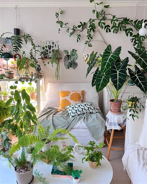 The Power of Plants in Home Decor: How to Decorate With Plants