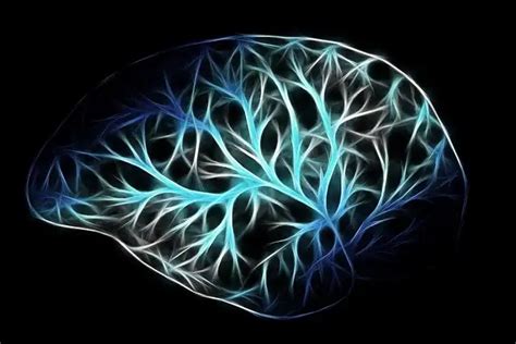 Genetic Roots Of Human Migration: Ancient Dna Links To Modern Movement