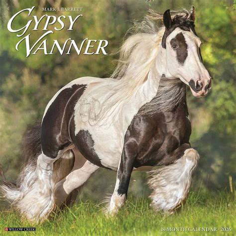 Gypsy Vanner Horse Calendar 2026