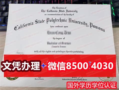 毕业证书套代办国外大学证件毕业证书改图 | PPT