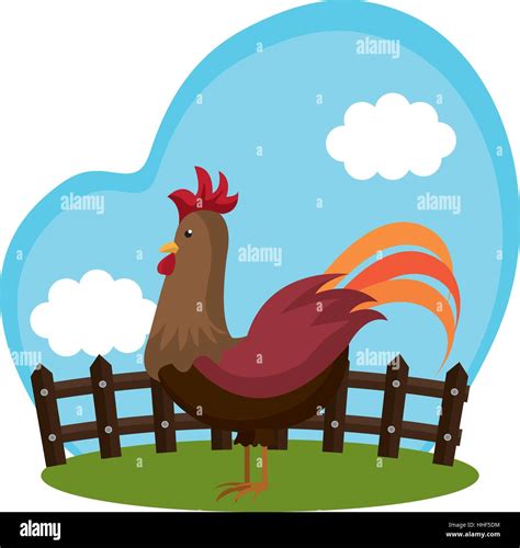 chicken animal farm icon vector illustration design Stock Vector Image ...