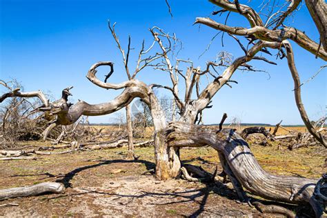 全球变暖 的图像结果
