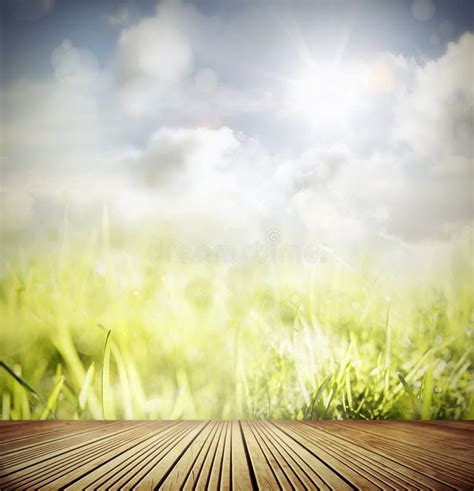 5 Minute Timer Springtime 的图像结果