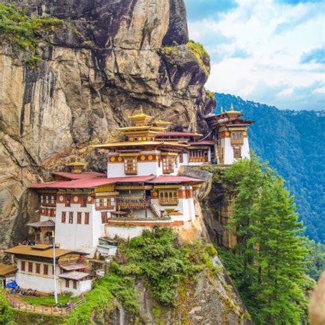 Image result for Bhutan Python Coders