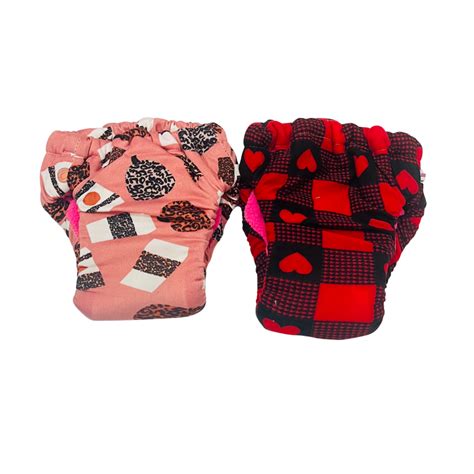 10% Discount on 2 Pull Up Diapers(Random prints) – BIBE BABY