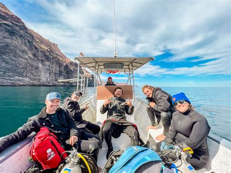 The Ultimate Guide to Scuba Diving in La Paz, Mexico