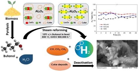 Renewable Hydrogen Production from Butanol Steam Reforming over Nickel ...