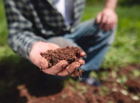 Agriculture Industry 的图像结果