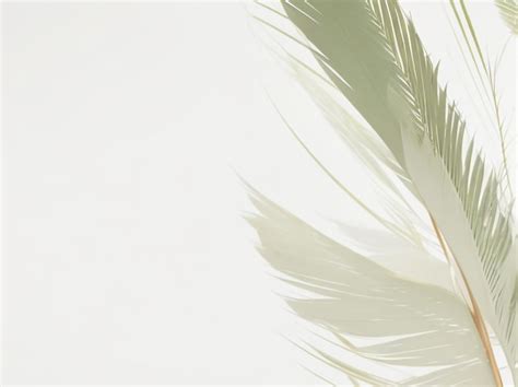 Professional Background 的图像结果