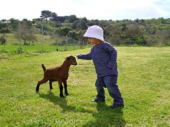 Agrotourismus auf Mallorca - Auf nach Mallorca