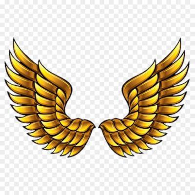 Wings High Resolution Isolated PNG - Pngsource