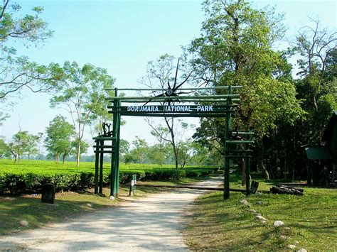 Gorumara National Park, Dooars - Help The Tourists.