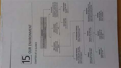 Anyone give me handwritten notes of chapter our environment science ...