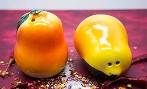 Buy Kraftlik Handicrafts Ceramic Salt Container | Hand Glazed Ceramic ...