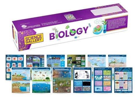 Science Gallery - Biology Charts (Set of 12 Charts - 18" x 25")