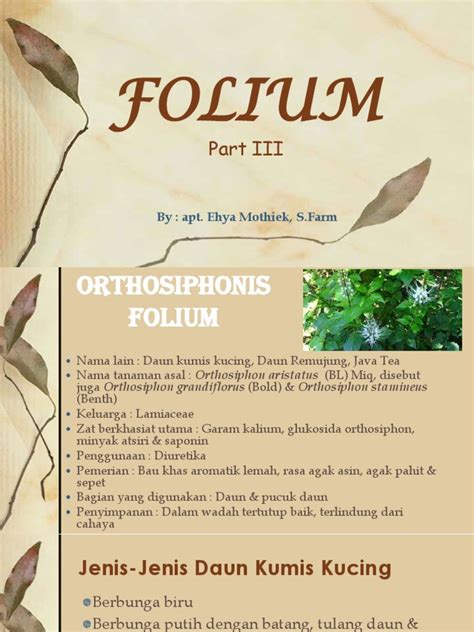 Image result for Folium Tutorial