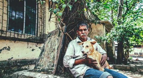 Of Mongrels And Their Keepers