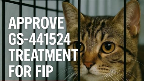 Petition · Legalize and Approve GS-441524 for Feline Infectious ...