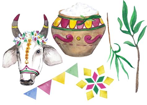 Discover Pongal Traditions and Celebrations and 14 Stunning Traditional ...