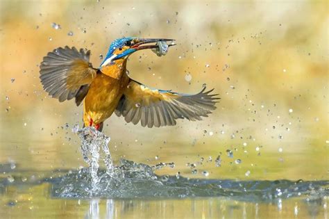 Hace poco escuché a una persona muy sabia que me explicaba que si ...