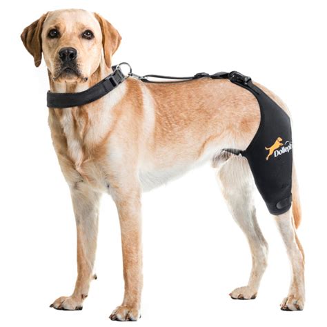 Dollephi Dog Knee Brace for Torn ACL Hind Leg, Hot/Cold Compress for Patella Dislocation or ...