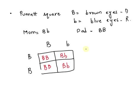 SOLVED: Complete the following Punnett Square. Be sure to include the ...