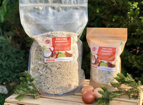 Will Wild Birds Eat Oats In The Winter? A Backyard Guide