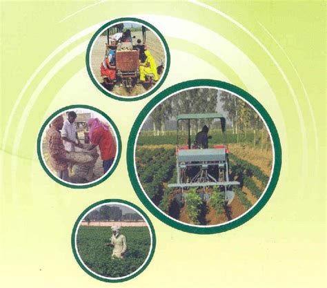 AgroTechniques for potato production of quality potato seed