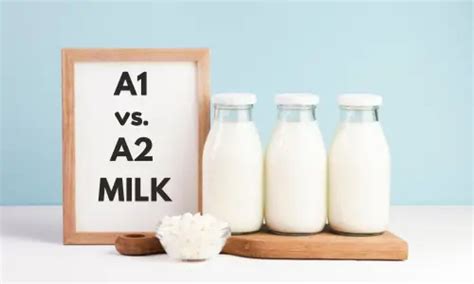 Space Colonization: Exploring the Future