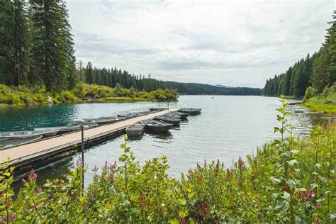 Your Guide to Exploring Clear Lake, Oregon | Oregon is for Adventure