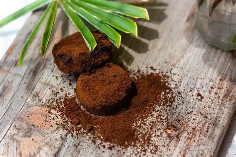 Vomiting Blood During Pregnancy: What You Need To Know