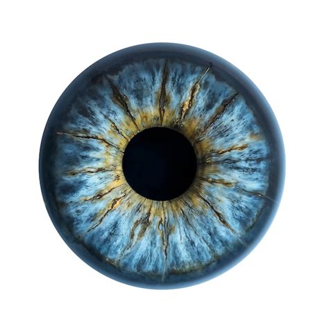 Eye Images - Free Download on Freepik