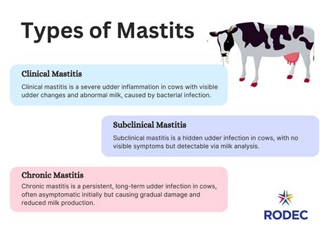 Understanding Mastitis in Dairy Cattle: Causes, Types, and Prevention