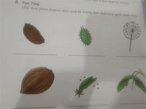 Primary Level don't spam - Brainly.in