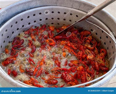 Spicy Crawfish Boiling in a Stock Pot in Lousiana Stock Image - Image ...
