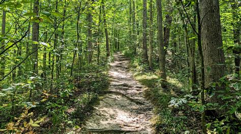 Wildlife Woods | Hudson, OH - Official Website