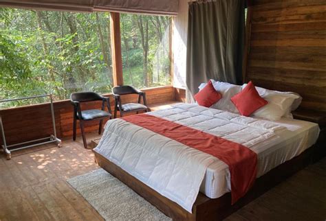 Deva Dhare, Sakleshpur - Homestay Advisor