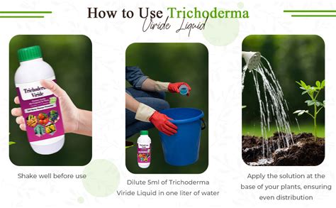 THE WET TREE Trichoderma Viride (2x10^11 cfu/ml) Liquid | Bio Fungicide ...