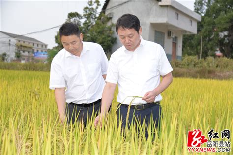 吴光文到乡镇督导疫情防控等工作-岳阳县政府网